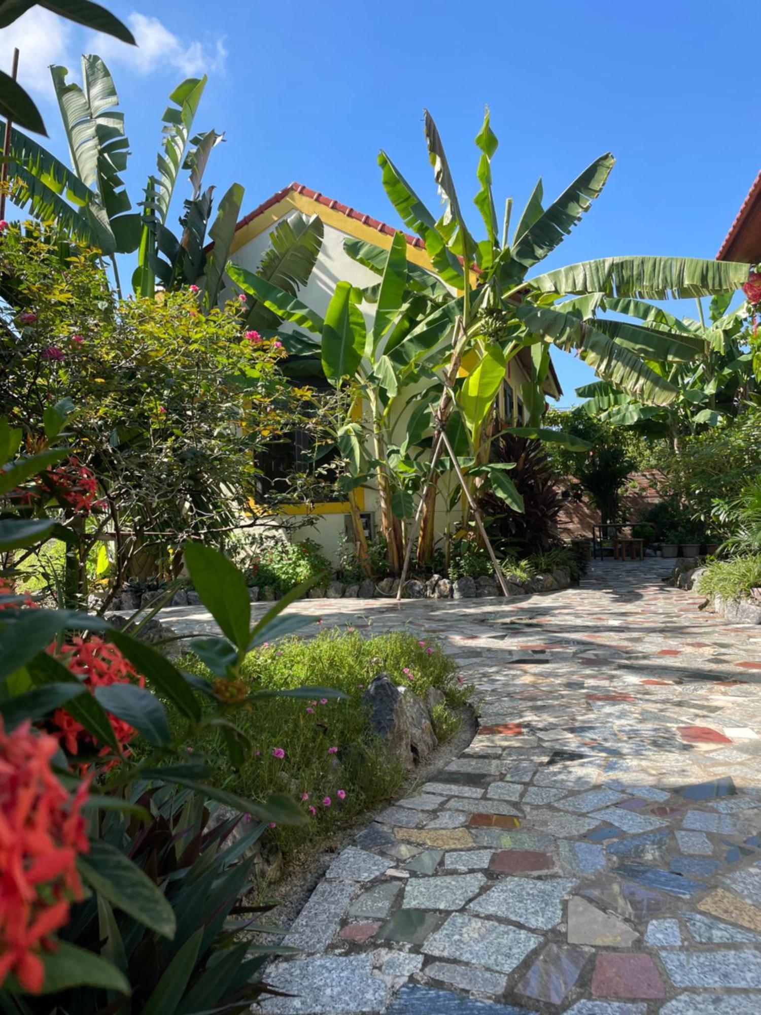 Ninh Binh Royal Homestay Esterno foto